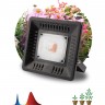 Фитопрожектор для растений светодиодный ЭРА FITO-50W-LED-BLUERED для цветения и плодоношения 50Вт красно-синего спектра B0039033 Фитопрожектор для растений светодиодный ЭРА FITO-50W-LED-BLUERED для цветения и плодоношения 50Вт красно-синего спектра B0039033