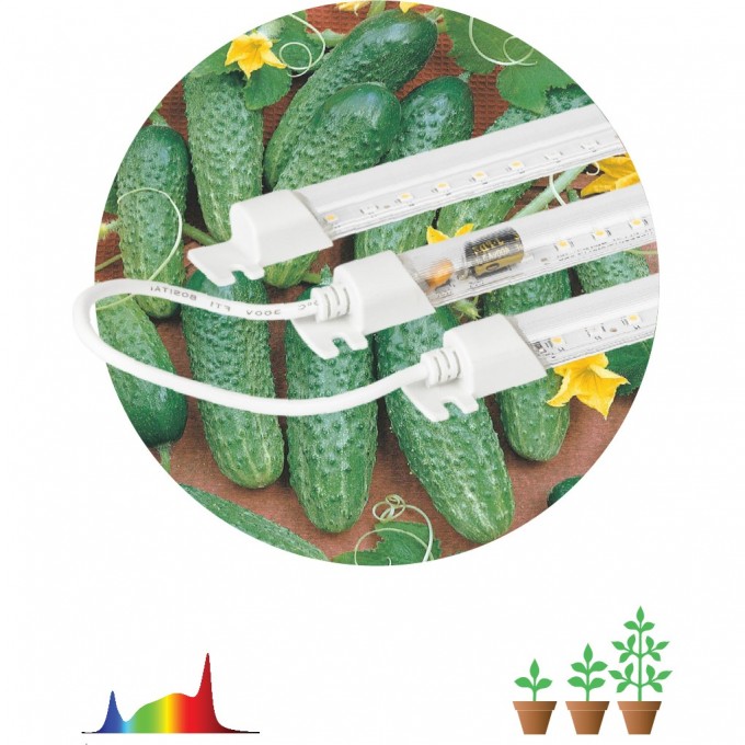 Модульный светильник для растений ЭРА FITO-3х10W-LINE-Ra90 полного спектра 30 Вт B0049315 Модульный светильник для растений ЭРА FITO-3х10W-LINE-Ra90 полного спектра 30 Вт B0049315