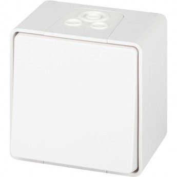 Переключатель ЭРА ЭКСПЕРТ Б0063301 11-1503-01 IP55 10АХ-250В ОУ белый