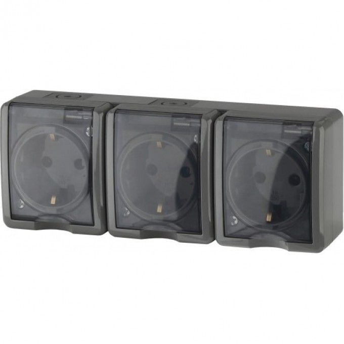 Розетка ЭРА 11-2406-03 3х2P+E IP54 шторки 16A-250В ОУ серый B0020723 Розетка ЭРА 11-2406-03 3х2P+E IP54 шторки 16A-250В ОУ серый B0020723