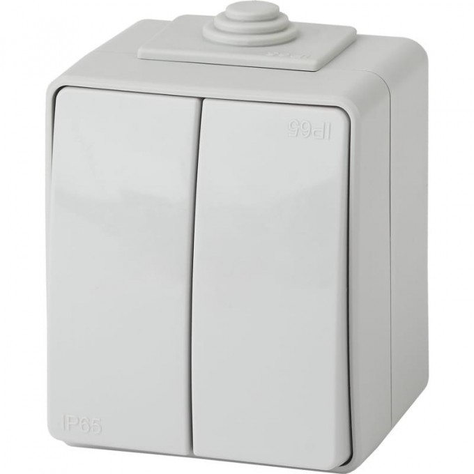 Выключатель ЭРА ЭКСПЕРТ двойной IP65 10АХ-250В ОУ серый B0035976 Выключатель ЭРА ЭКСПЕРТ двойной IP65 10АХ-250В ОУ серый B0035976