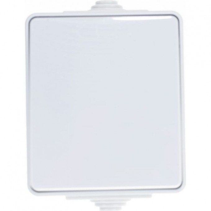 Выключатель ЭРА ЭКСПЕРТ IP65 10АХ-250В ОУ серый B0035972 Выключатель ЭРА ЭКСПЕРТ IP65 10АХ-250В ОУ серый B0035972