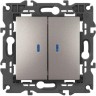 Выключатель ЭРА ELEGANCE Б0065789 14-1105-16 двойной с подсветкой 10АХ-250В титан B0065789 Выключатель ЭРА ELEGANCE Б0065789 14-1105-16 двойной с подсветкой 10АХ-250В титан B0065789